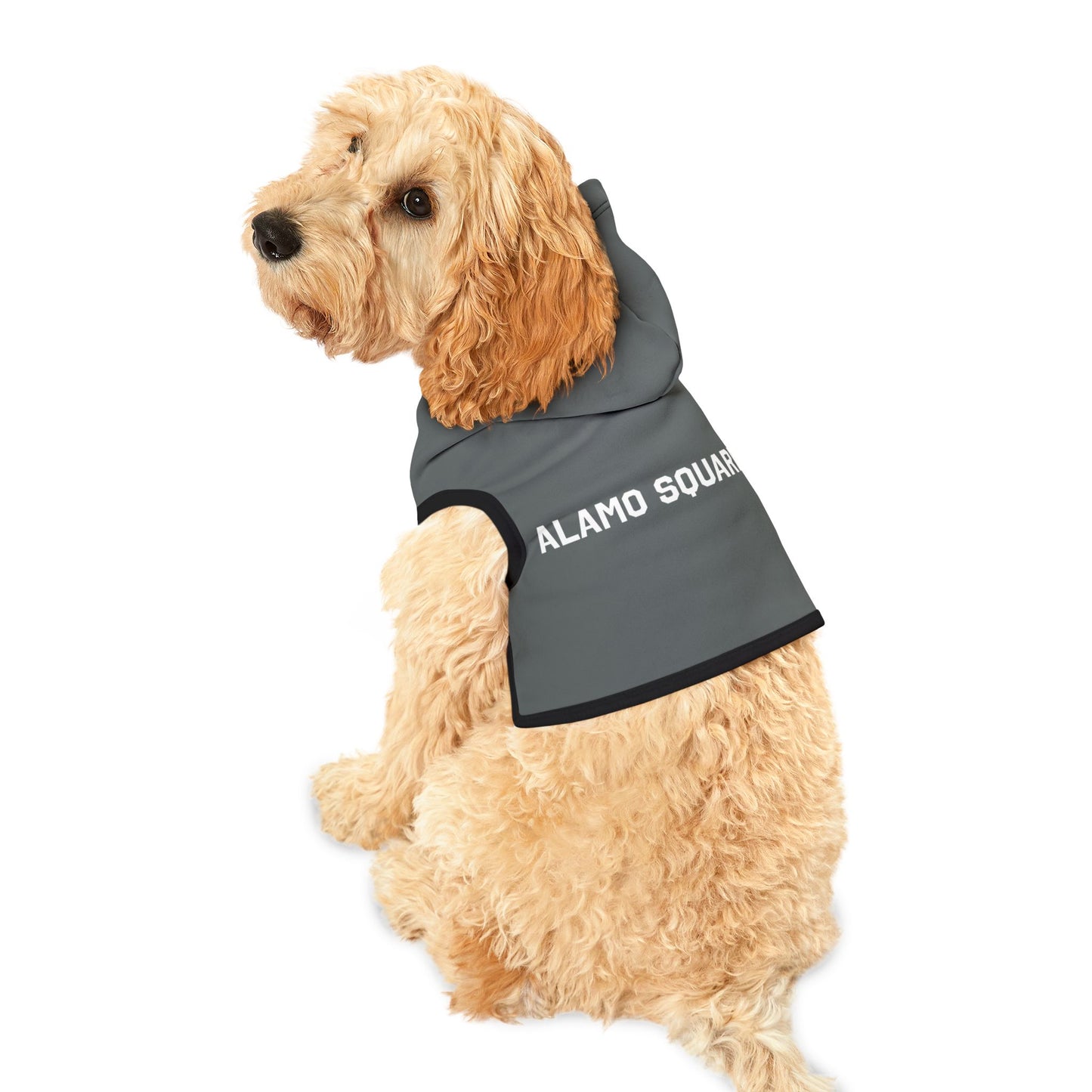 ALAMO SQUARE - PET HOODIE GRY