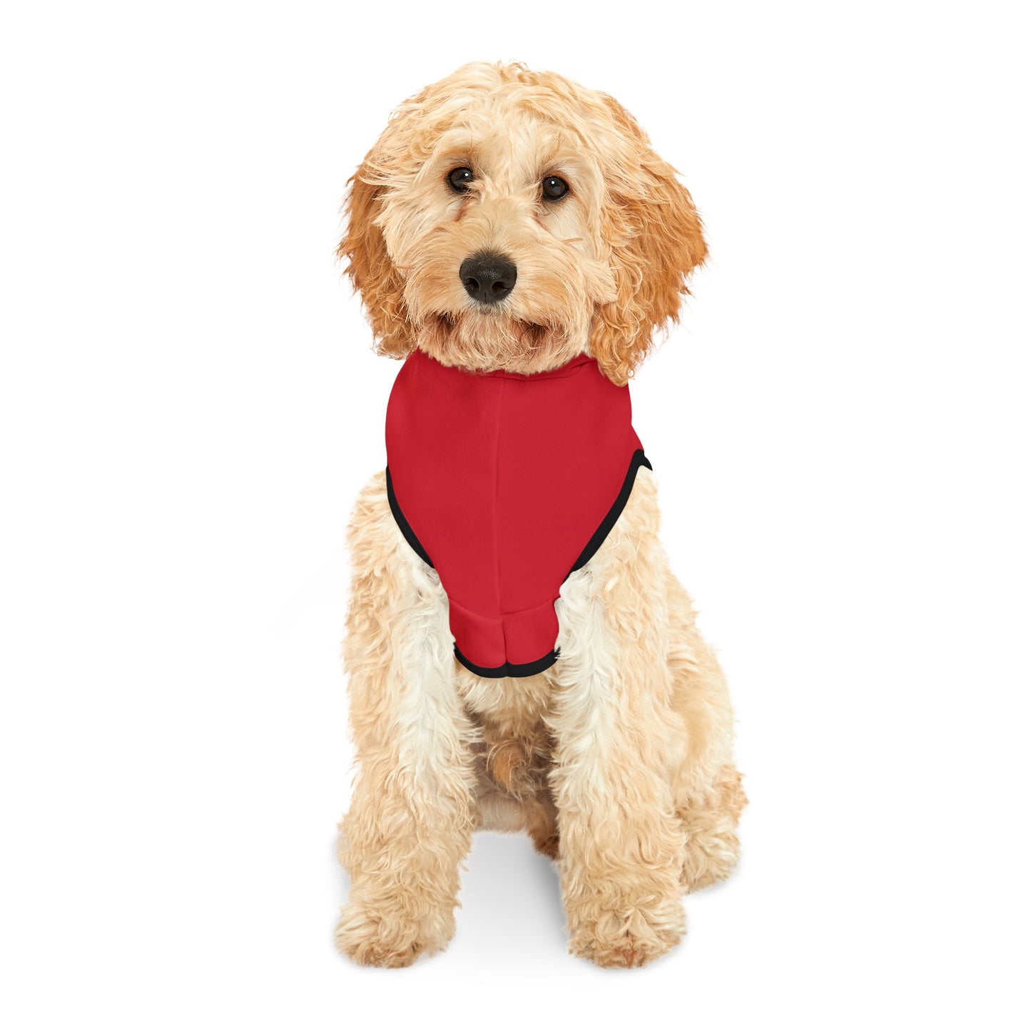 ALAMO SQUARE - PET HOODIE RED