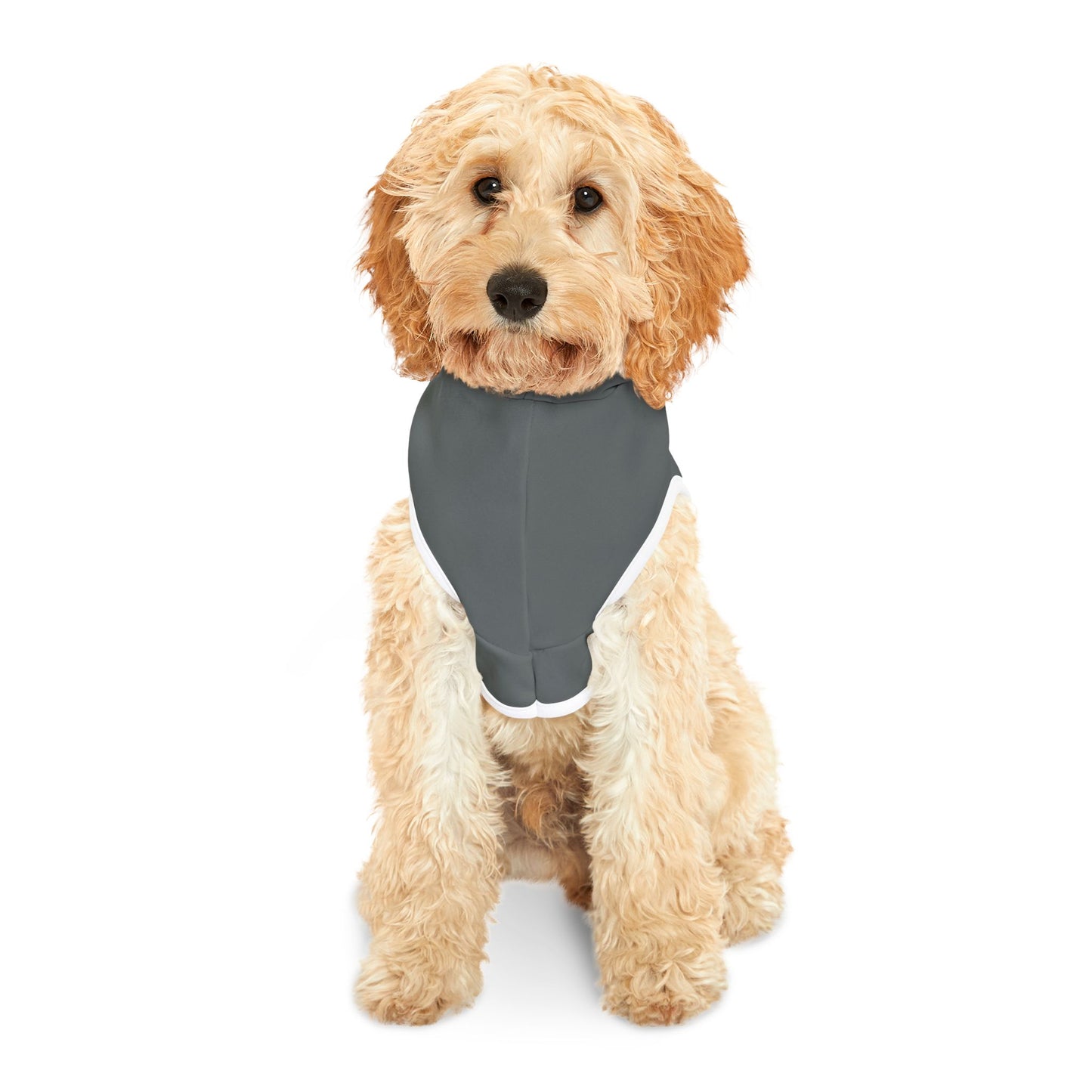 ALAMO SQUARE - PET HOODIE GRY