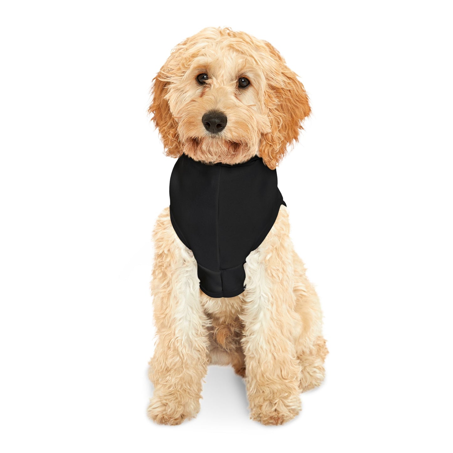 ALMAO SQUARE - PET HOODIE BLK