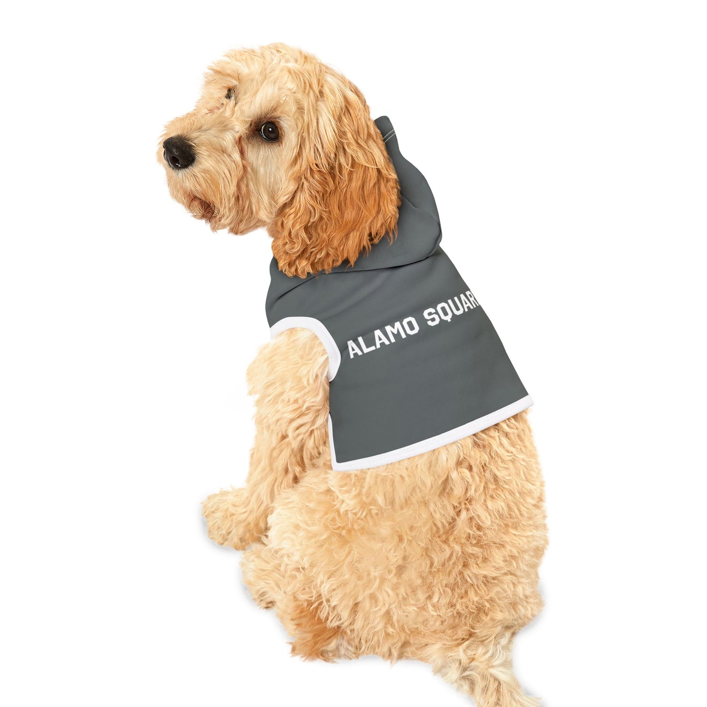 ALAMO SQUARE - PET HOODIE GRY