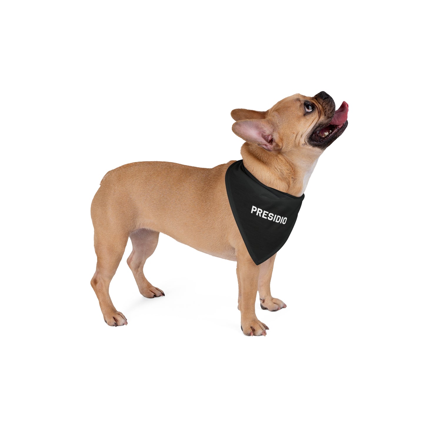 PRESIDIO - Pet Bandana BLK