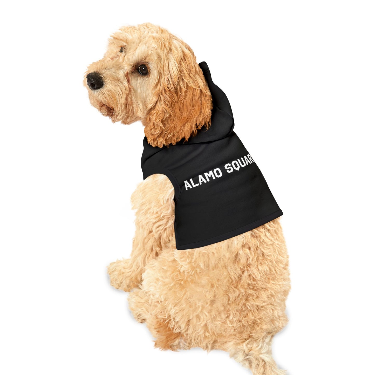 ALMAO SQUARE - PET HOODIE BLK