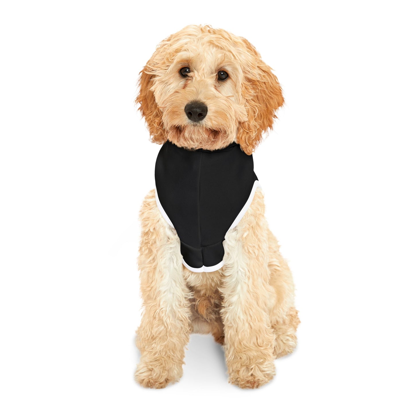 ALMAO SQUARE - PET HOODIE BLK