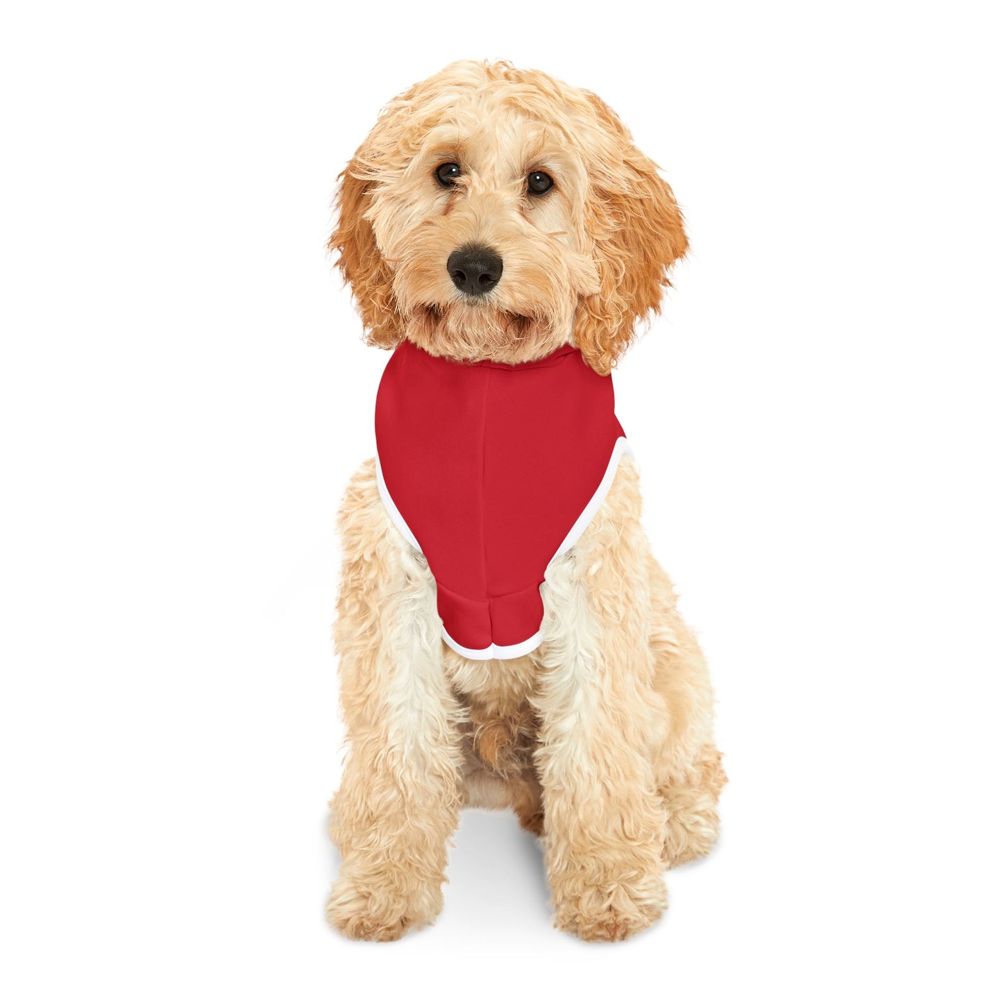 ALAMO SQUARE - PET HOODIE RED